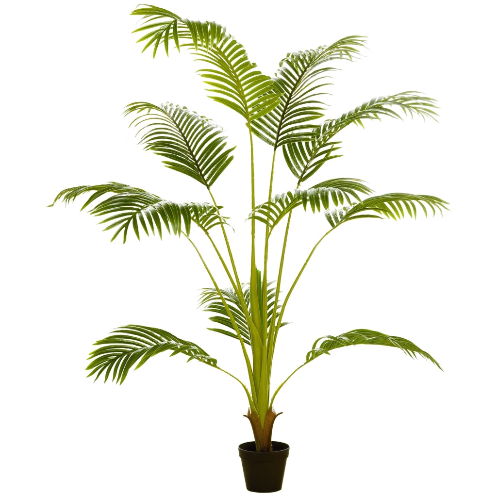 Palma Areca Artificiale 170cm ¨C zephmum ¨C Verde ?15x170 cm