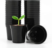 Mini vasi in plastica per piante - 50 pezzi, 5,4 cm, nero - ideali per semi, giovani piante, ortaggi e erbe