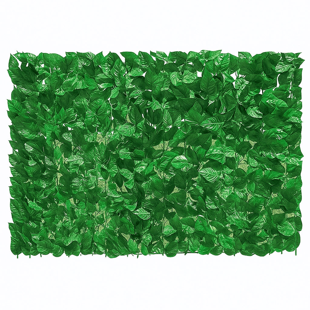 Arella sempreverde doppia schermatura 300xh100 "Lauro Light"