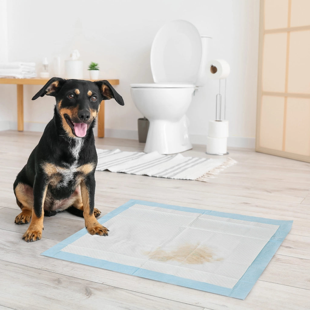 Tappetino Assorbente per Cani ¨C Minimal ¨C 60x60 cm Blu 6 Strati Antifuga