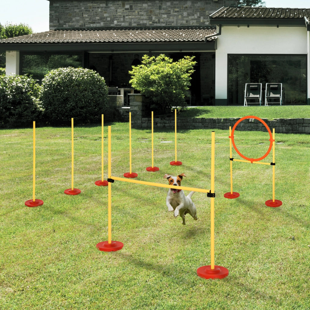 Set Agility per Cani ¨C Xylo ¨C 3 Pezzi con Ostacoli Regolabili e Slalom