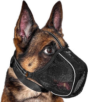 Muffa per cani morbida - respirante e antiscivolo - XL - nero