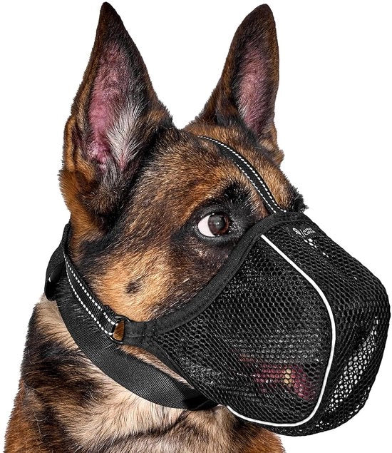 Muffa per cani morbida - respirante e antiscivolo - XL - nero