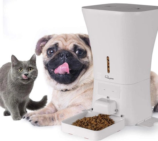 Cibo per animali domestici, Scatole di cibo per cani e gatti