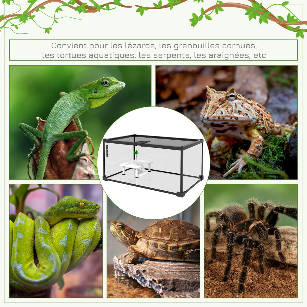 Terrario rettili ¨C zephmum ¨C trasparente 60x40x40