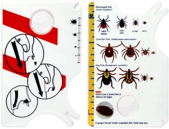 Tavola di disegno 2 pezzi - Carta di disegno rimovibile con lente - Cattura tracce di animali domestici - Plastica - 8,5 x 5,4 cm - Resistente alle abrasioni e duraturo - Strumento di rimozione tracce