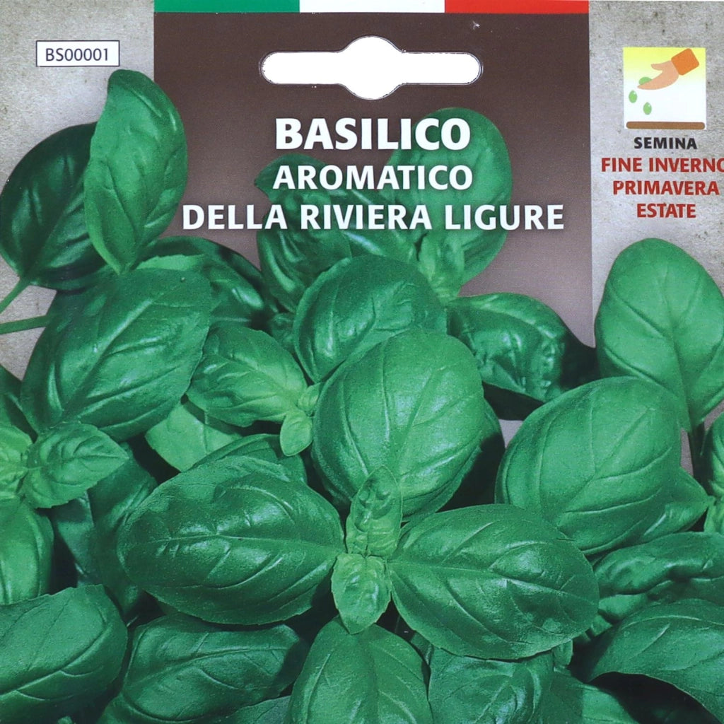 BUSTA SEMENTI BASILICO AROMATICO RIVIERA LIGURE