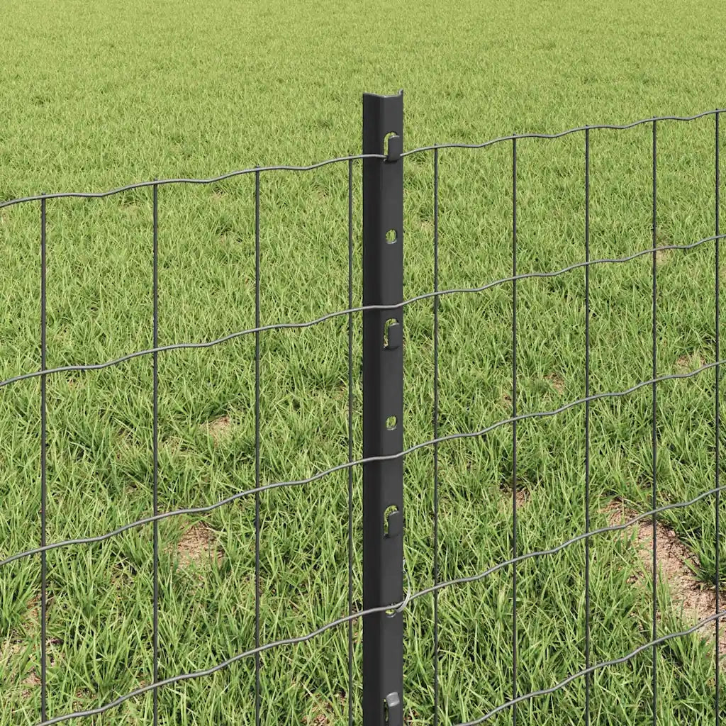 Recinzione con Posto Grigio 3336062