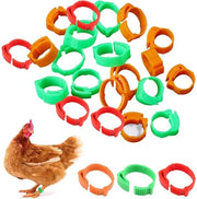 Anelli per pollo 60 pezzi - Ringhiere per polli