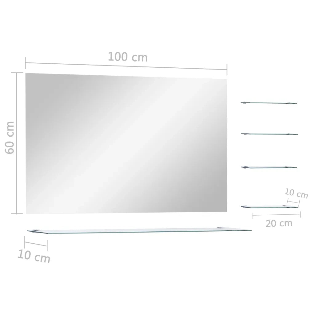 Specchio da Parete con 5 Mensole Argento 100x60 cm 249446