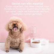 Ciotola per Animali - Automatica - Per Cani e Gatti - 2 in 1 - 500ML Fusto - Bianco