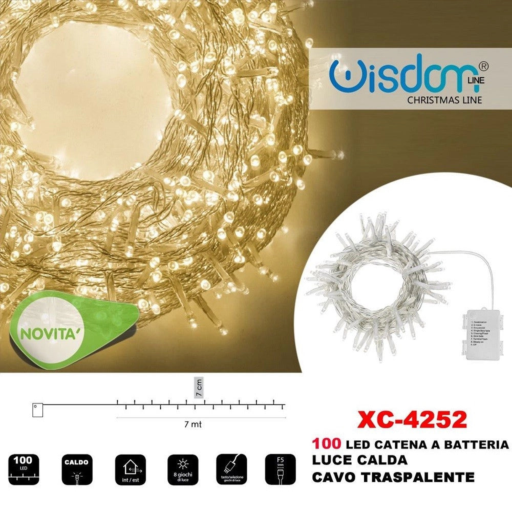 Trade Shop - Catena Luminosa 100led Lucciole Con Batteria Cavo Trasparente Luce Calda Xc-4252 -