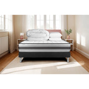 Pacchetto letto completo - Materasso 140x200cm + Box spring con doghe (in kit) + 2 cuscini + Piumino - Vitalpower Recover