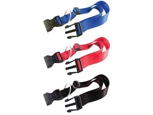 COLLARE NYLON CLASSIC PER CANI- - cm.36-56 colore blu C20/56 - 2 pezzi FERPLAST