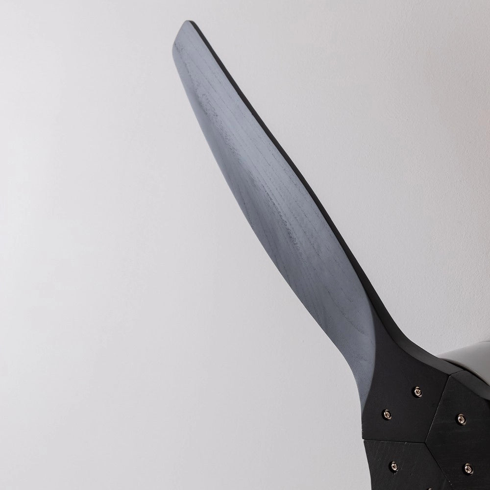CECOTEC A01_EU01_122159 - EnergySilence Aero 5400 Classic Iron&Black