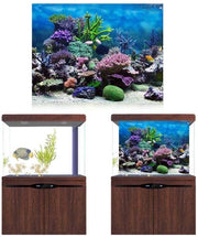 Poster per Acquario Onda Corallo - Retroilluminante - PVC - Autoadesivo - Decorativo - 76x30cm - Poster di Fondali