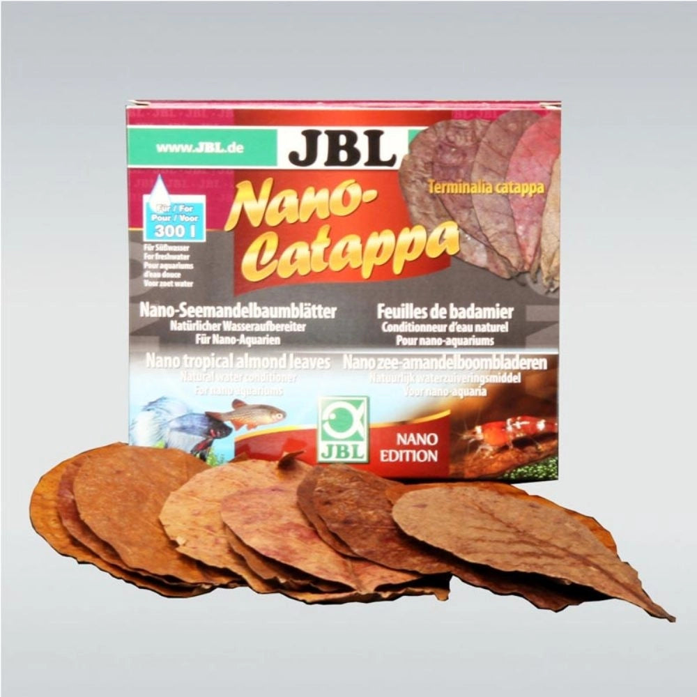 JBL Nano Catappa – Foglie di mandorlo indiano - 10 Foglie