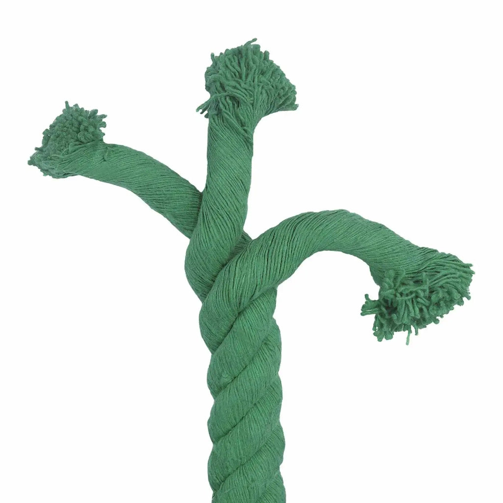 Corda Verde 5 x 5 x 500 cm Cotone 42011985