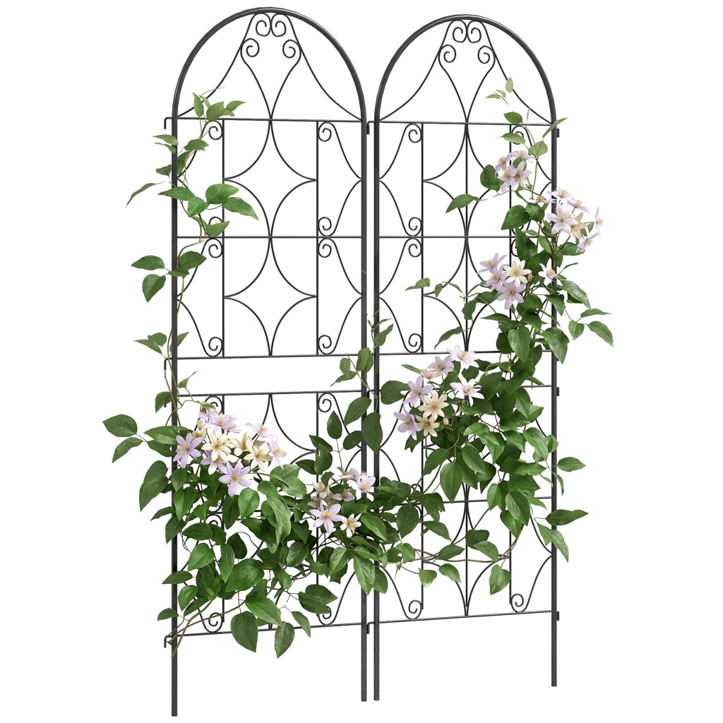 Supporto piante rampicanti ¨C Minimal ¨C 2 pezzi metallo 50x150 cm nero