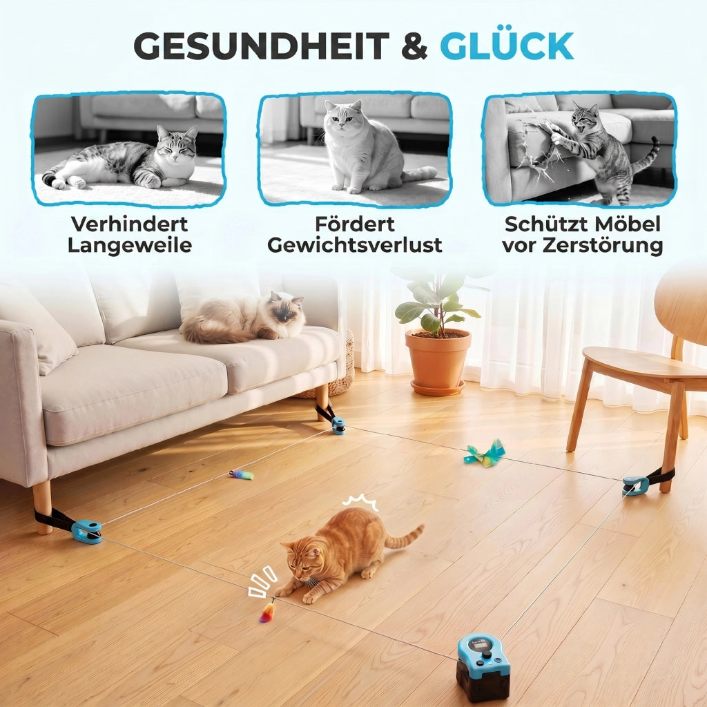 Giocattolo Automatico per Gatti ¨C Minimal ¨C Nero