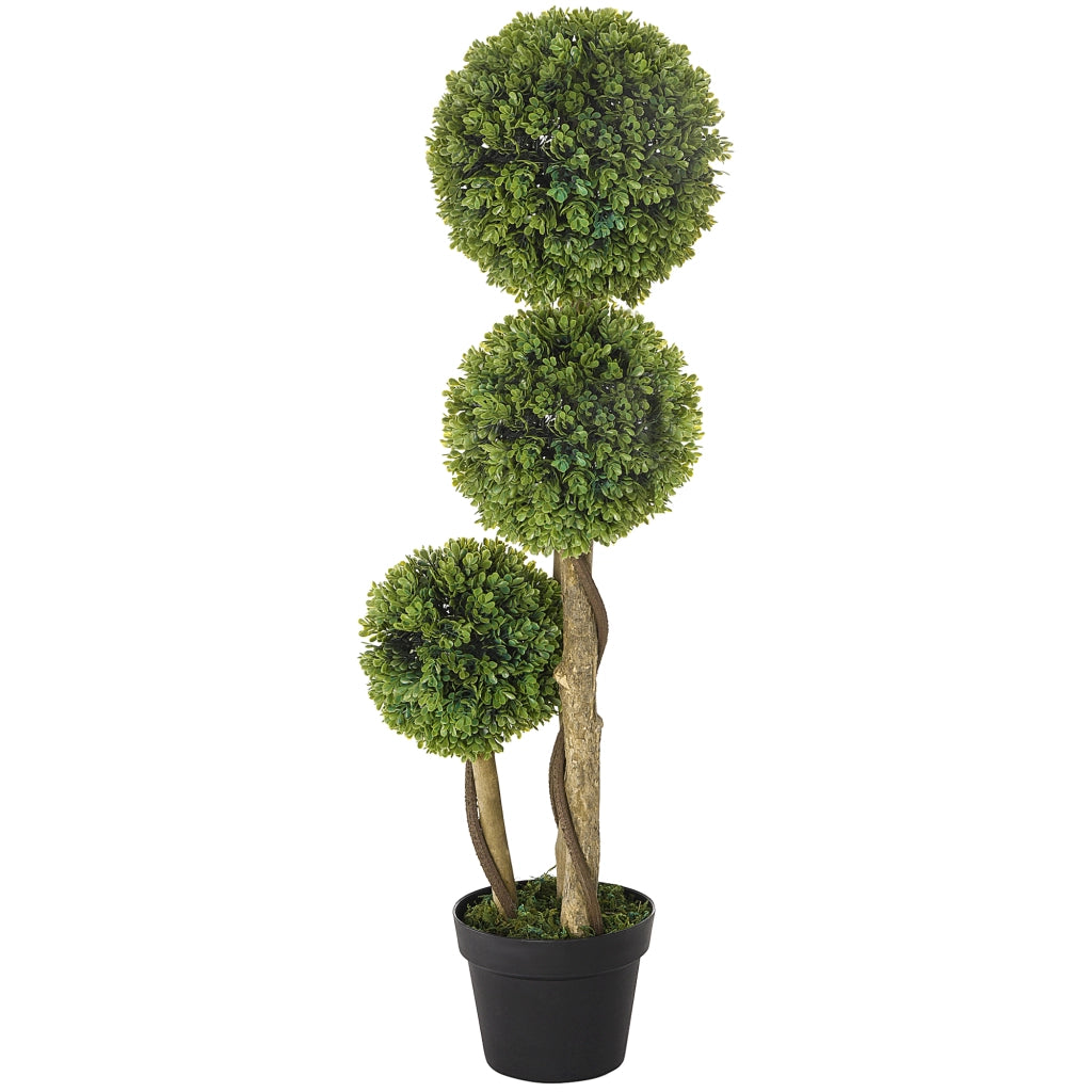 Pianta Artificiale Buxus ¨C Minimal ¨C Verde e Nero