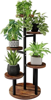 Pianta in Stile - Per Interno ed Esterno - 5 Livelli