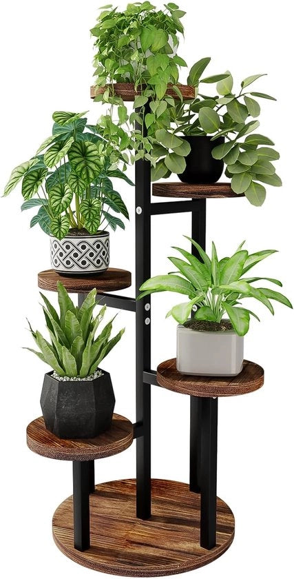 Pianta in Stile - Per Interno ed Esterno - 5 Livelli