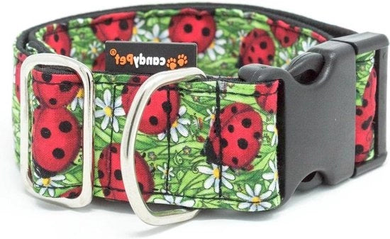 Collare per Cane - Ladybug - Sostenibilità e Comfort