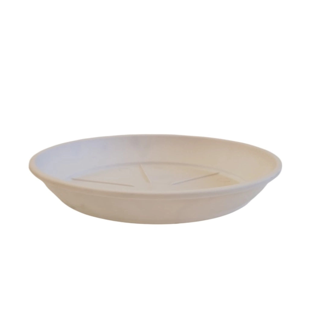 SOTTOVASO COLOR D.20XH3,2CM ASSORTITO