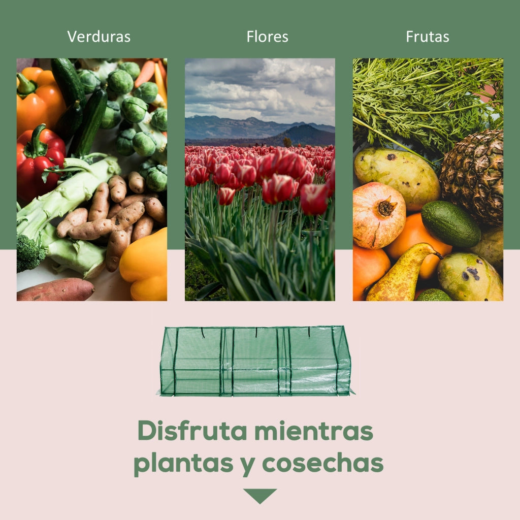 Serra da Giardino ¨C Xylo ¨C 270x90x90 cm Acciaio Verde con 3 Finestre per Esterno