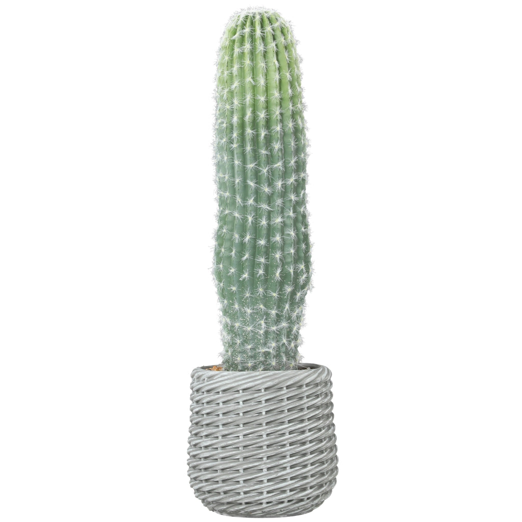 Cactus Artificiale Decorativo 66cm ¨C Xylo ¨C Verde con Vaso