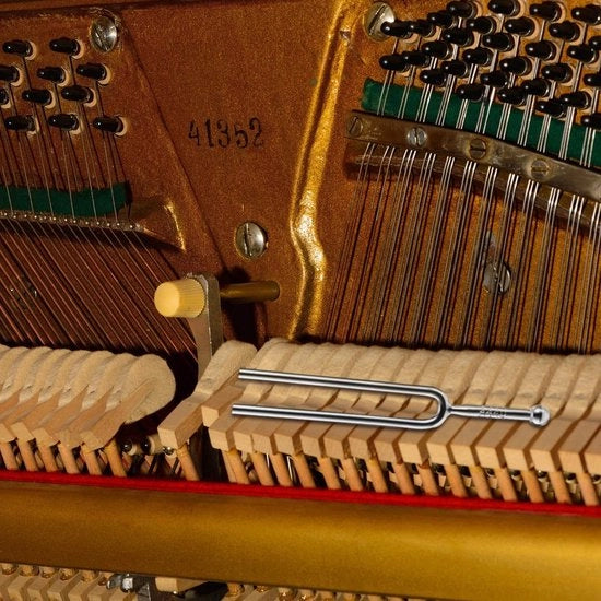 Strumento di Accordo A440 Hz - Acciaio Inossidabile - Tuner per Chitarra/Violino/Ukulele - Precisa Regolazione - Inclusa Custodia di Riposo - 12,3 cm Lunghezza - Accordatore