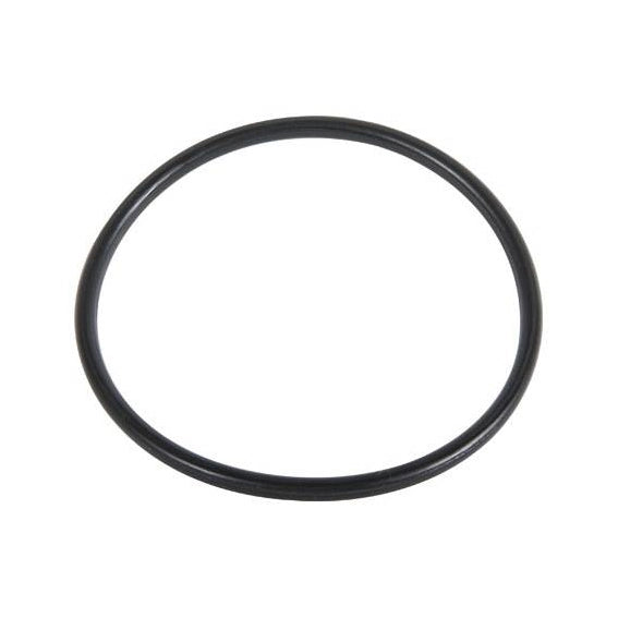 O.RING PER FILTRO 244-HYMFI- 48.90 x 2.62 - Tipo E- IRRIT- pezzi 1