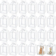 50 Pacchi di Geschenki in PVC trasparente con cerniera argentata, 50 pezzi