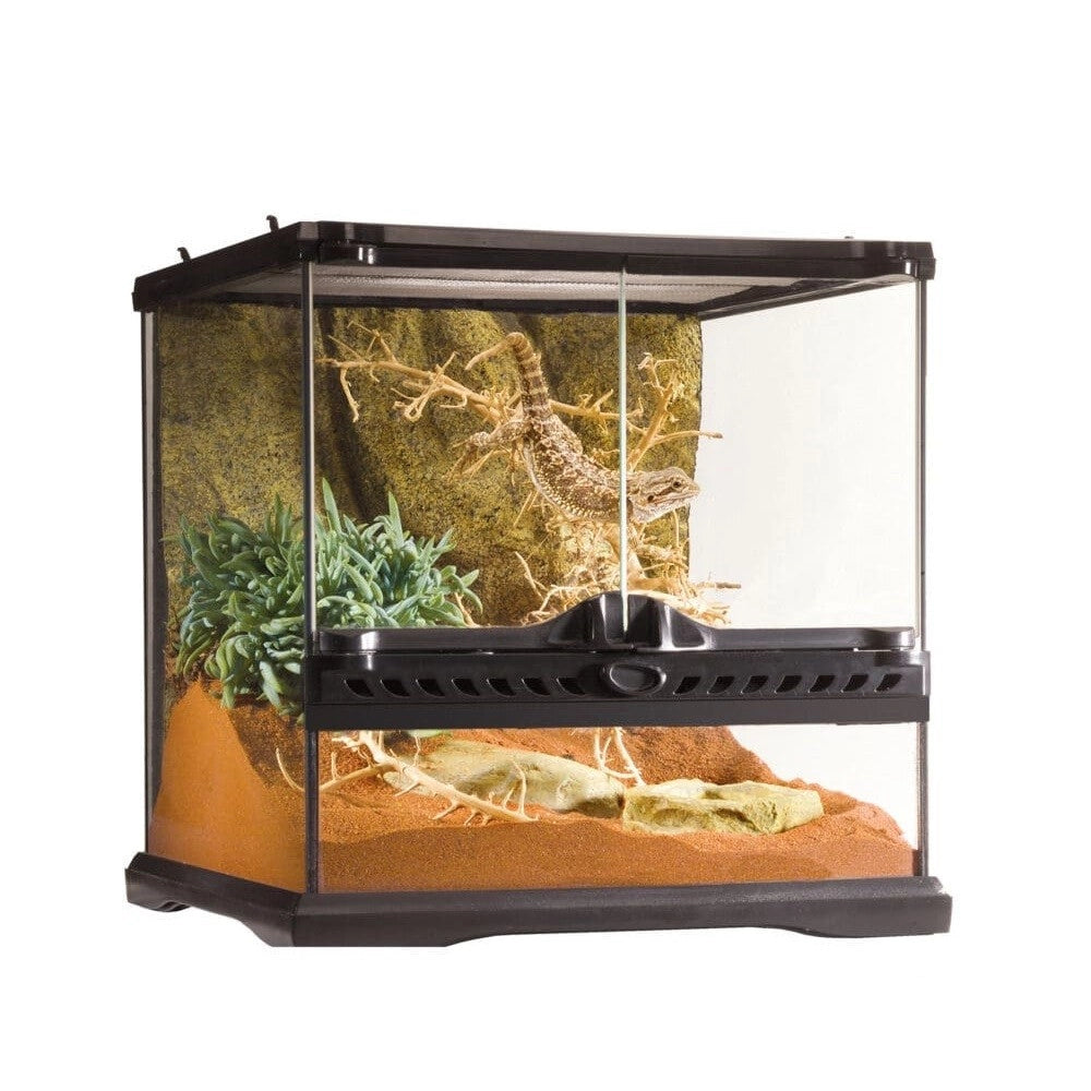 ExoTerra Glass Natural Terrarium Mini Wide – cm30x30x30h