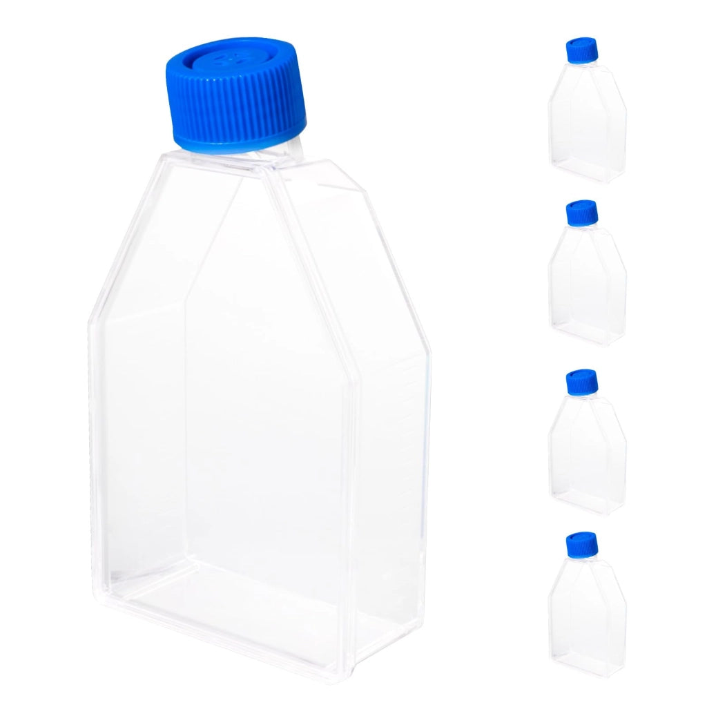 Bottiglie per colture cellulari, 5 pezzi, superficie di coltura 75 cm², capacità 250 ml, sterili, in polistirolo