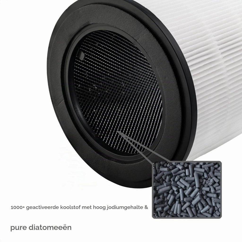 Confezione da 2 filtri a carbone attivo per purificatori d'aria Philips serie 800