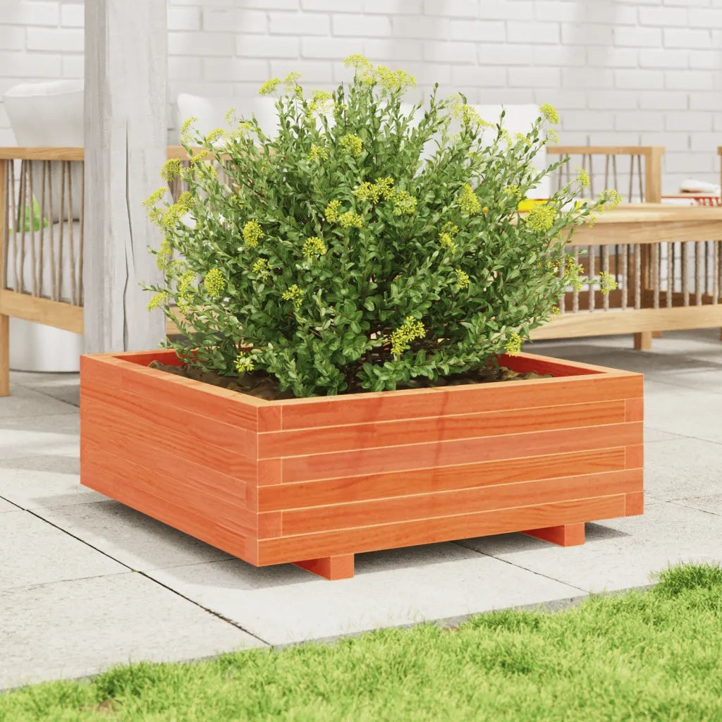 Fioriera | Cassetta per fiori | Vaso Giardino Marrone Cera 70x70x26,5cm Legno Massello Pino