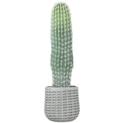 Pianta Artificiale Cactus ¨C zephmum ¨C Verde 66 cm