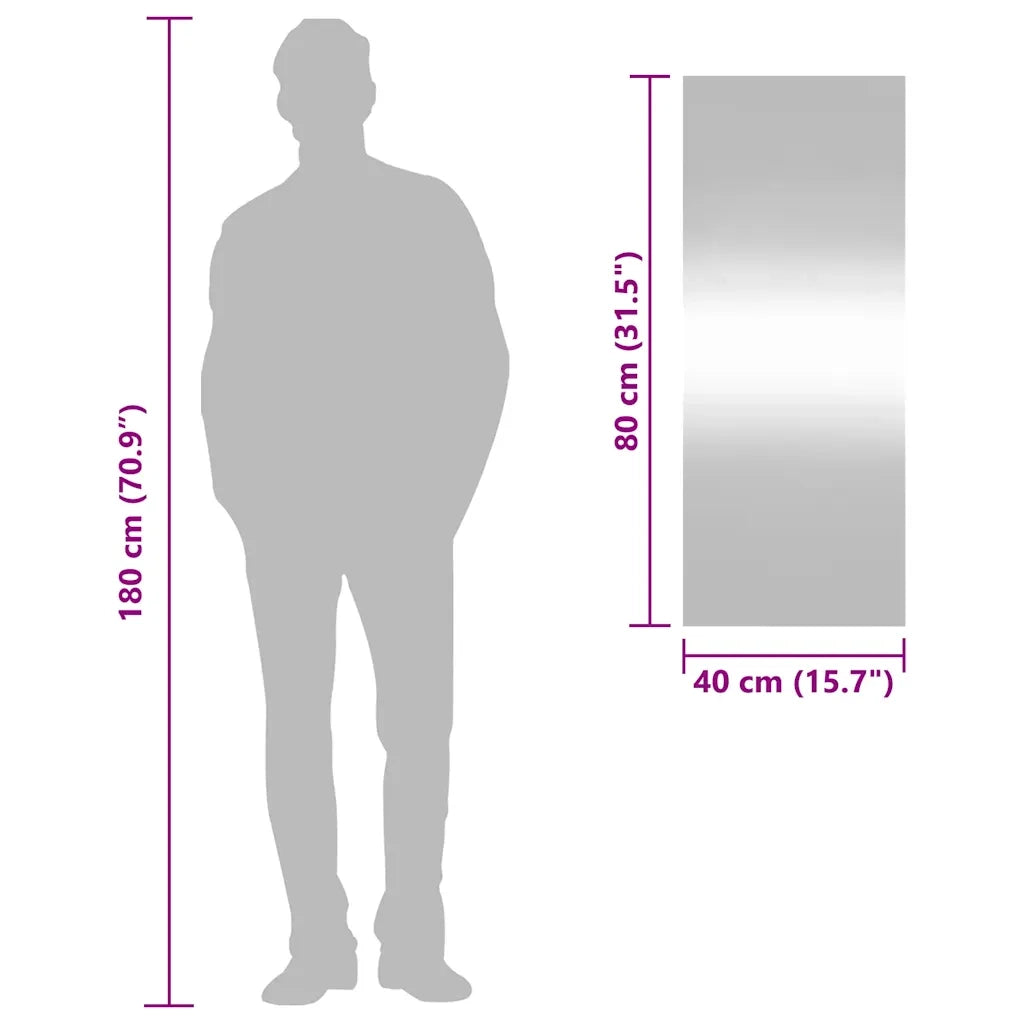 Specchio da Parete 40x100 cm Vetro Rettangolare 350448