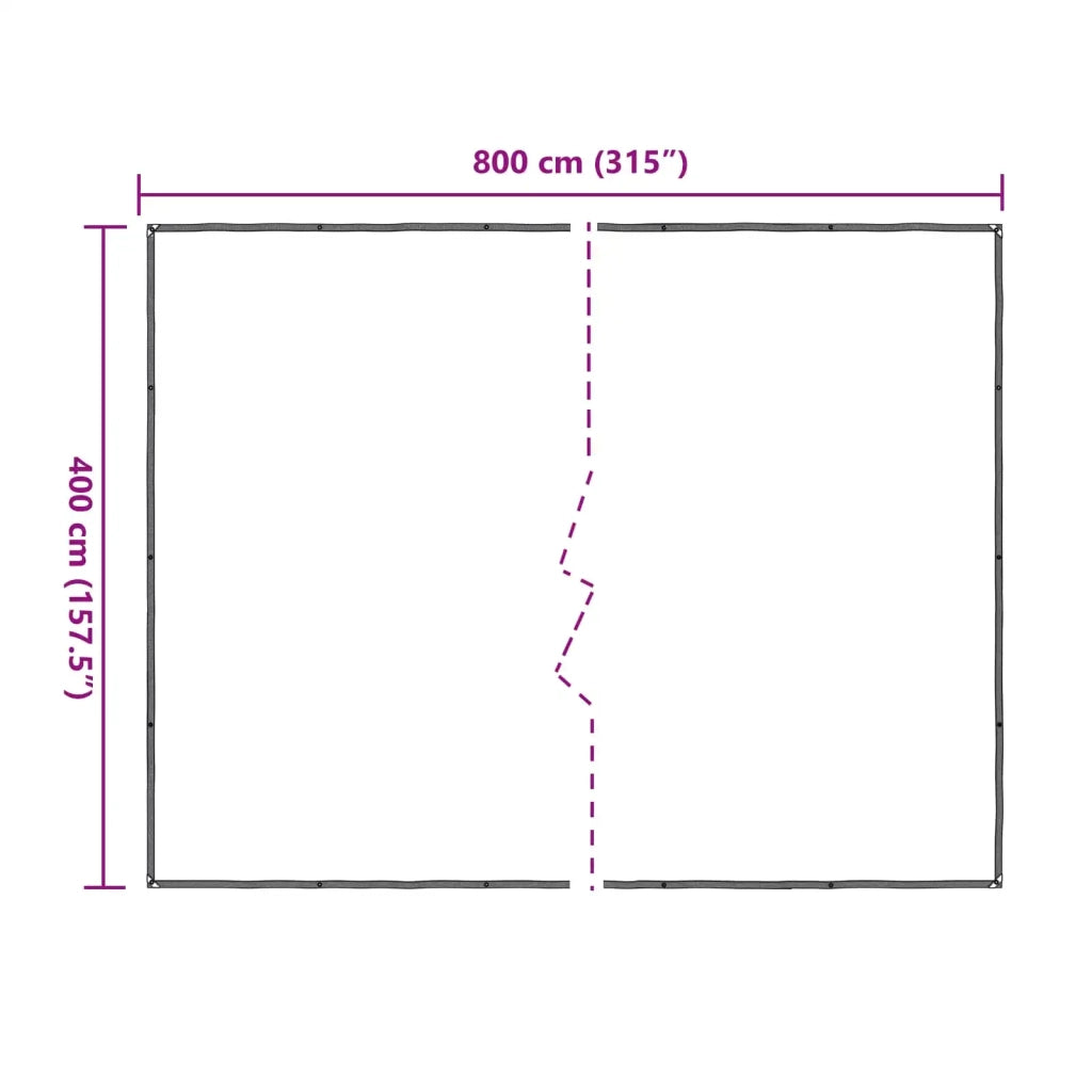 Copertura per Piante Trasparente 4 x 8 m PE 3429317