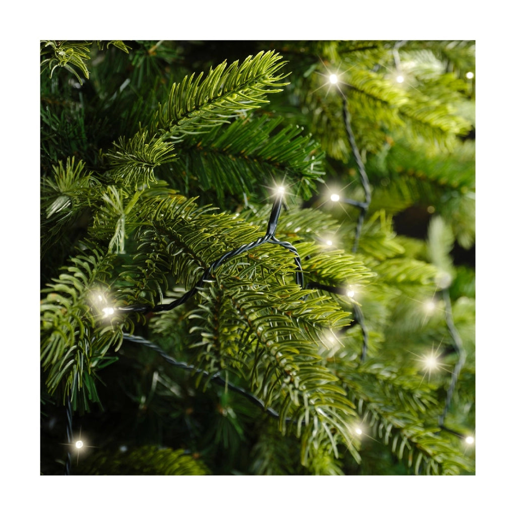 Luci LED Basic Light verde/bianco caldo 710cm 8Funz OUT