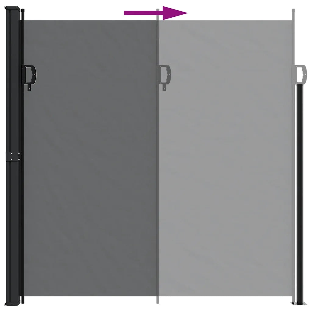 Tenda da Sole Laterale Retrattile Nera 200x300 cm 4004354
