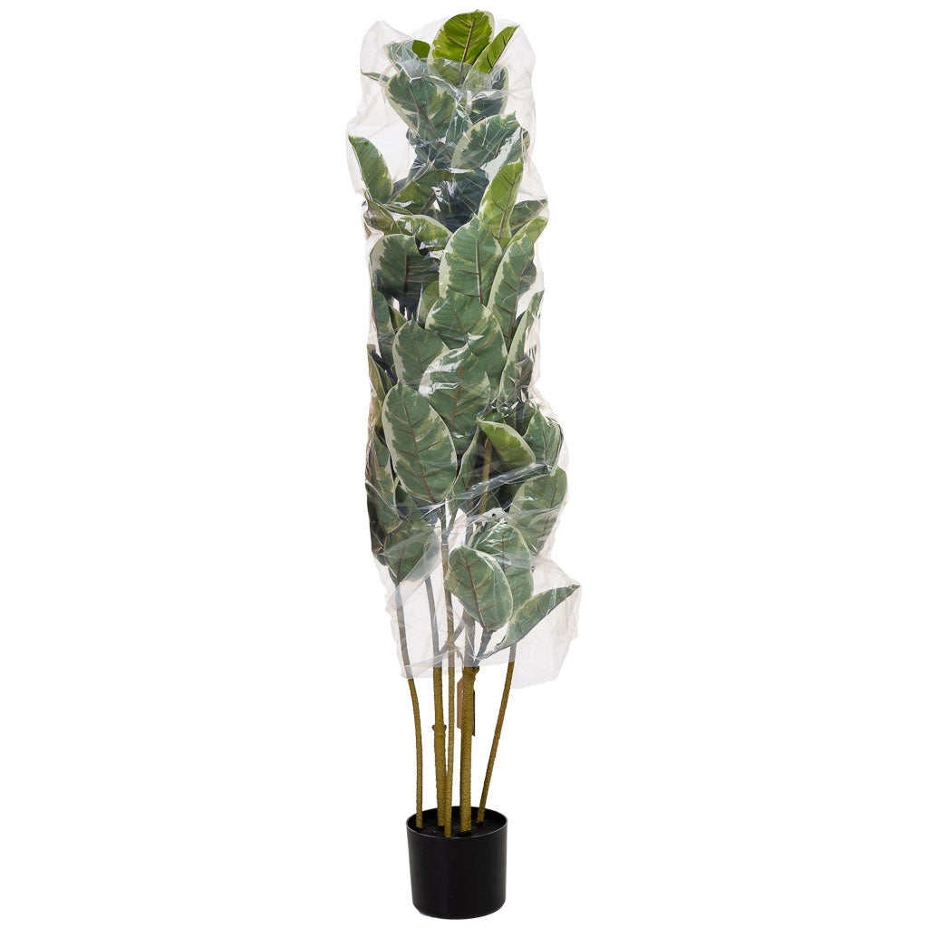 Pianta artificiale decorativa di quercia verde 60x60x128