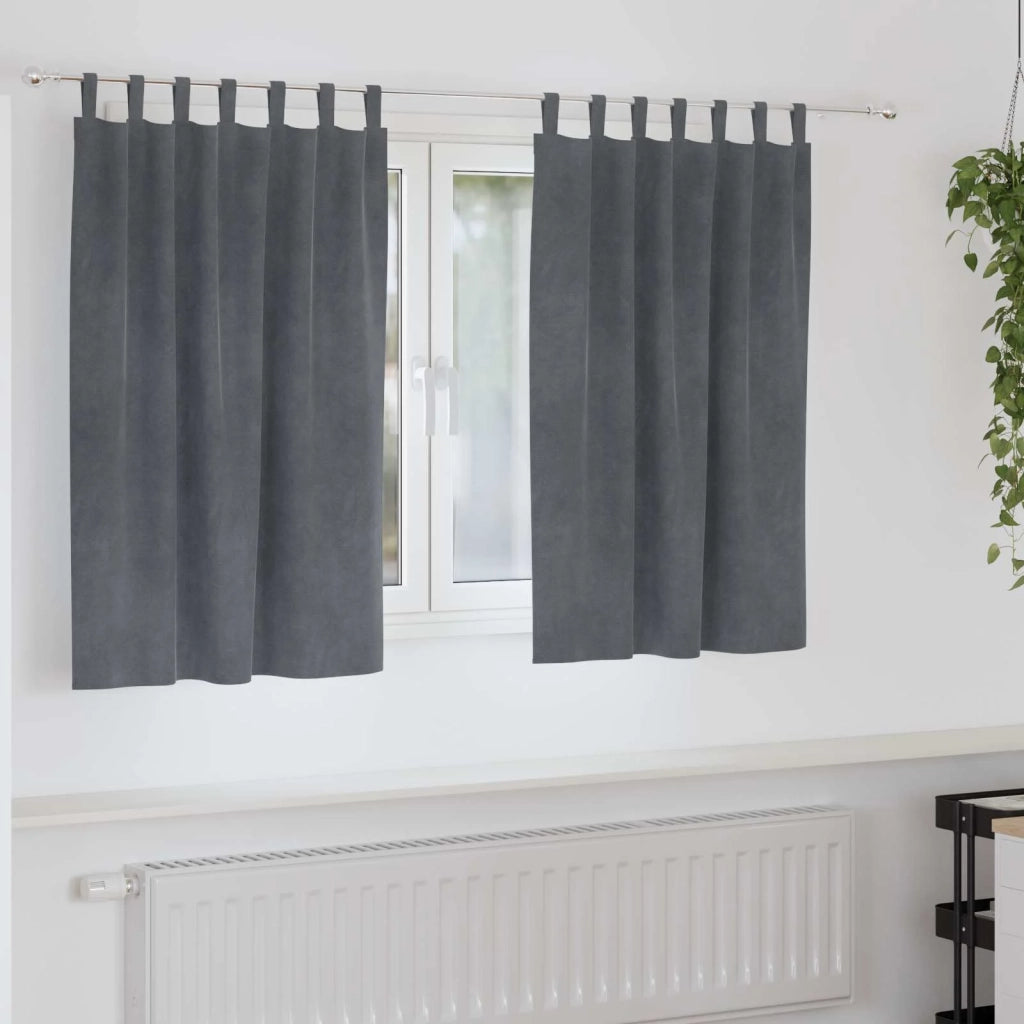 Tende oscuranti 2 pcs Grigio chiaro 140 x 140 cm Velluto 4107293