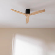 CECOTEC A01_EU01_122166 - EnergySilence Aero 5400 Classic Black&LightWood