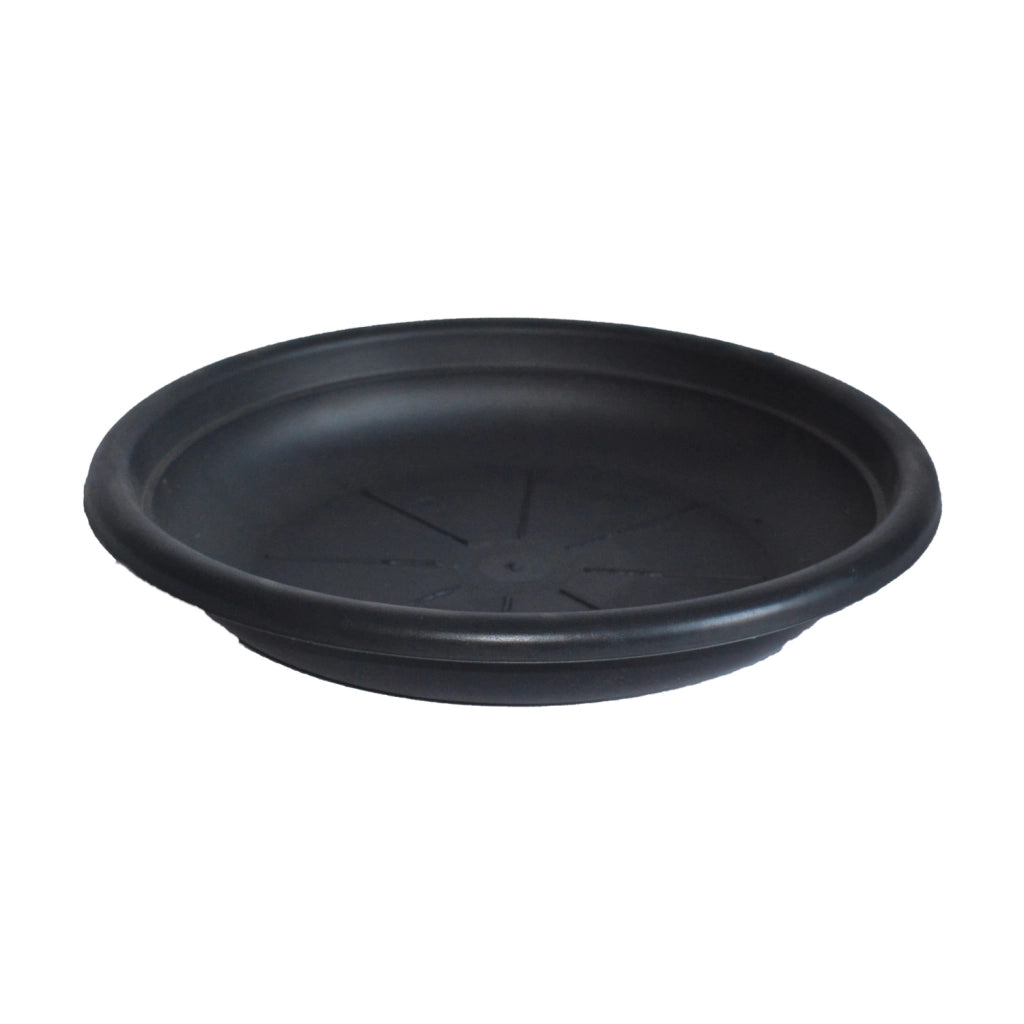 SOTTOVASO COL.ANTRACITE CM.35