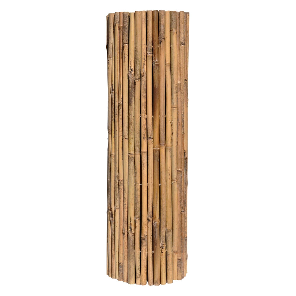 Arella Canna Passante Master Bamboo Naturale 250 x 300 cm