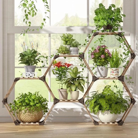 Supporto per piante/bloomsupport multifunzionale per piante 139,7 x 25,4 x 96,5 centimetri