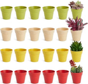 Mini vasi di plastica per piante - 24 pezzi - 4 colori - 6 cm